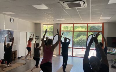 Trouble musculo-squelettique (TMS) : quelles stratégies de prévention efficaces en entreprise ?